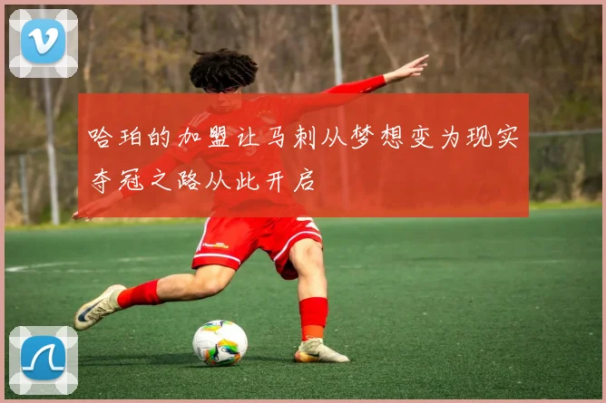哈珀的加盟让马刺从梦想变为现实夺冠之路从此开启